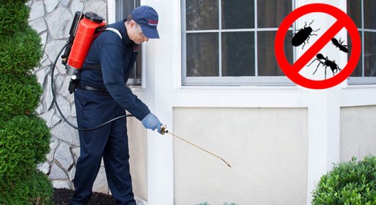 Tercan Dezenfeksiyon böcek ilaçlama ve haşere kontrolü — ilaclama-tr.com